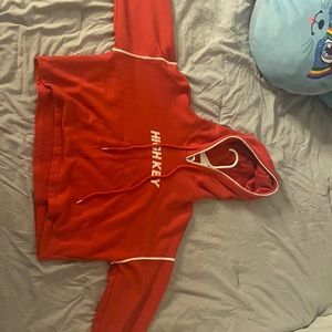 Crop top hoodie from forever 21